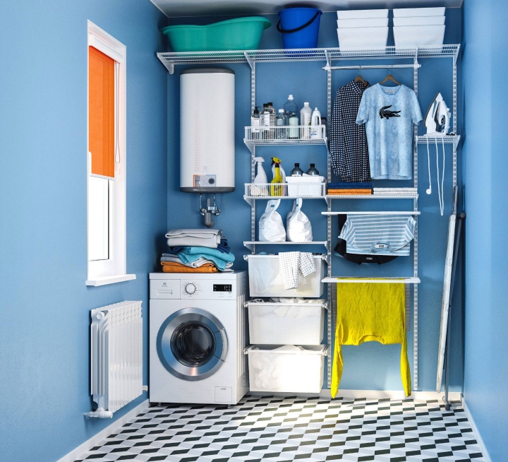 Прямая сетчатая