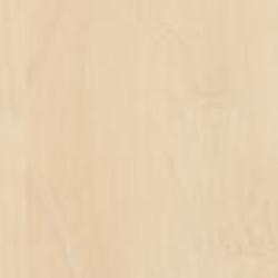 H1733 Берёза Майнау